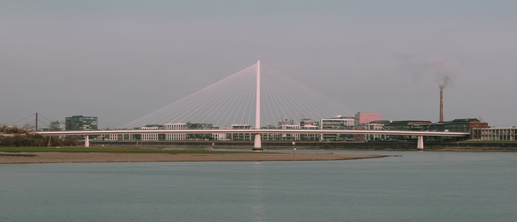 Eine Schrägseilbrücke mit einem Pylon über der Rheinbiegung, flaches Wasser davor