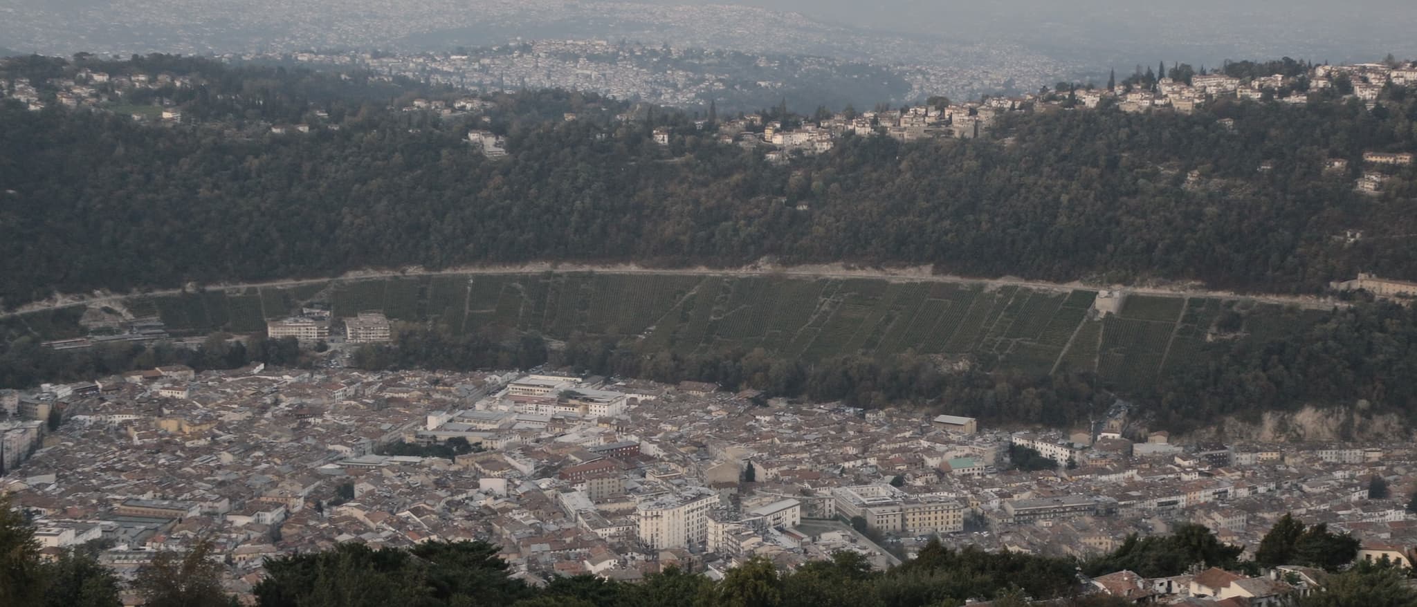 Die Stadt im Talkessel, Weinterrassen am Hang darüber