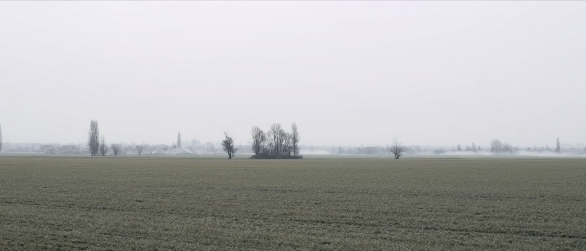 Eine Pappelreihe über der flachen Ebene, Nebel am Boden