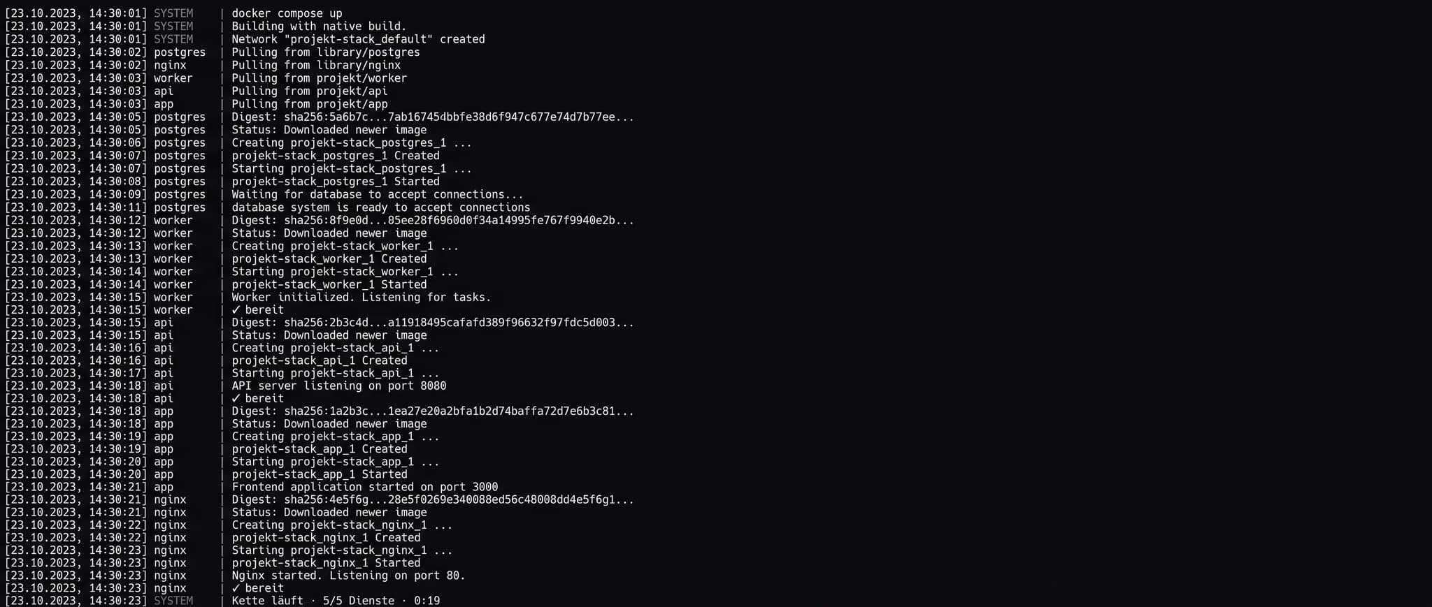 Die ganze Kette startet: docker compose up, fünf Dienste, 19 Sekunden
