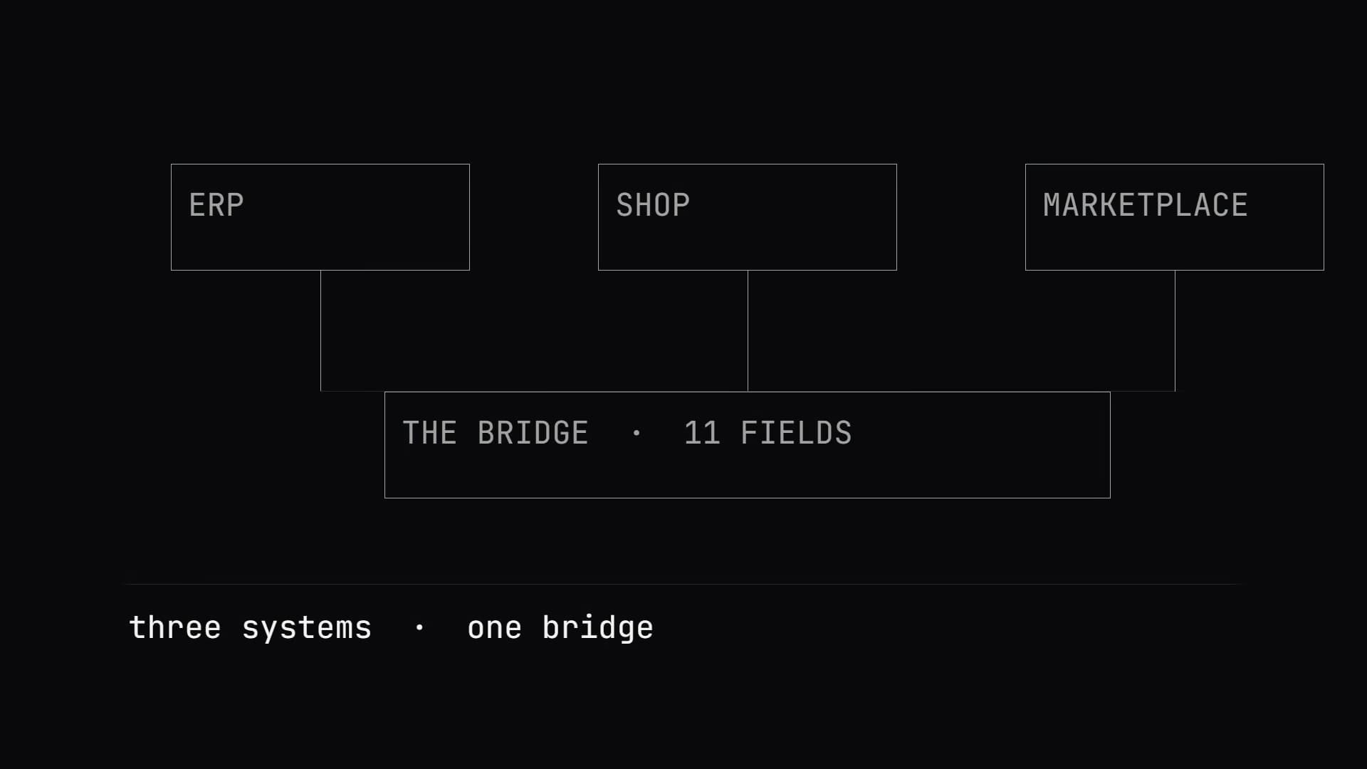 Diagramm: drei Systeme an einem Datenmodell